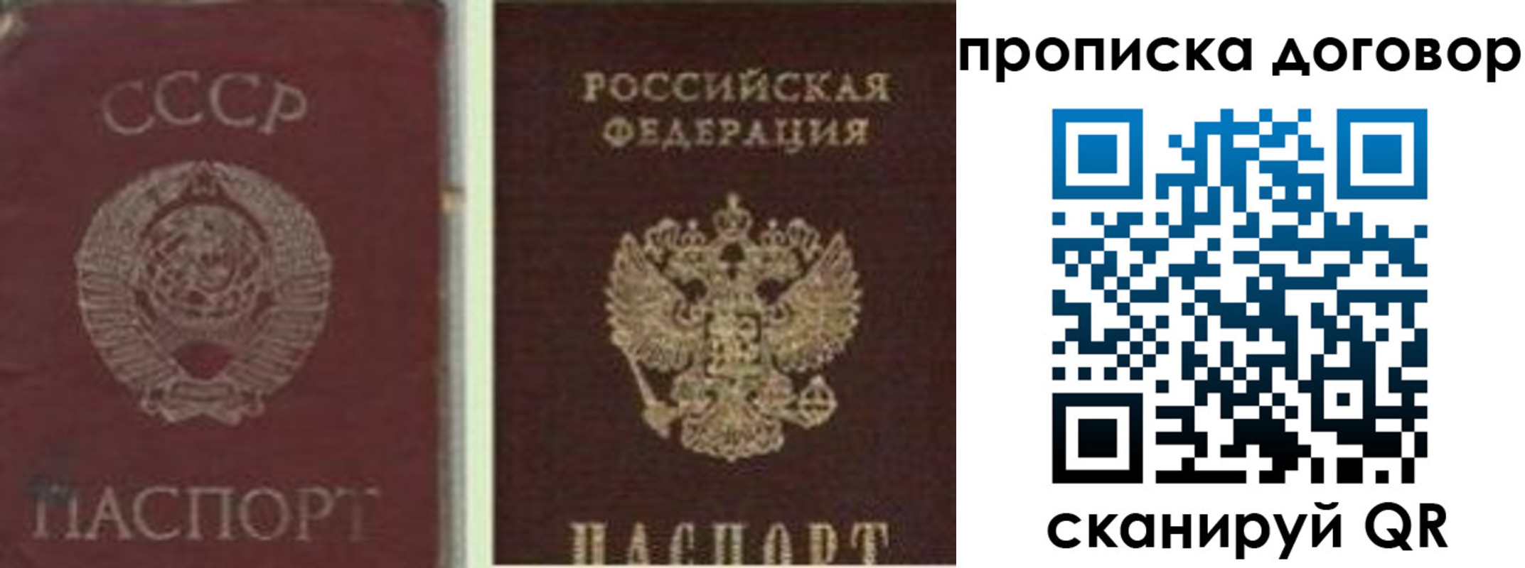 прописка гарантия в Краснозаводске